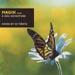 Magik Four - A New Adventure