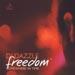 DJ Dazzle - Freedom 4 - Somewhere In Time