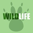 WILDLIFE LP
